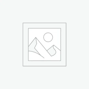 Latest Summer Printed Tshirts